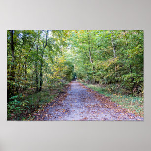 Affiche Chemin dans la forêt automnale, Forêt de Saint Ger