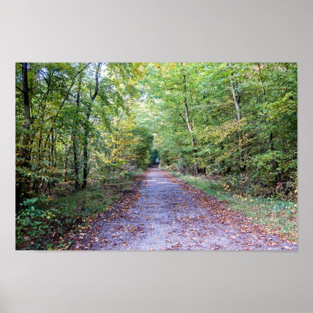 Affiche Chemin dans la forêt automnale, Forêt de Saint Ger (Devant)