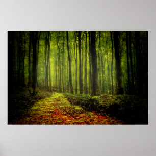 Affiche Chemin dans Woods