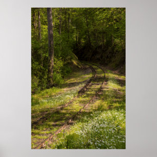 Affiche Chemin de fer abandonné dans une forêt