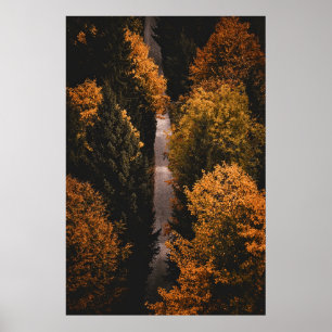 Affiche Chemin de la forêt d'automne