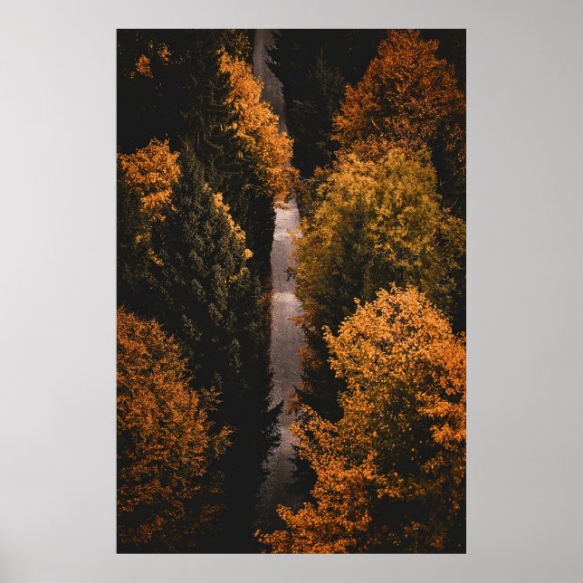 Affiche Chemin de la forêt d'automne (Devant)