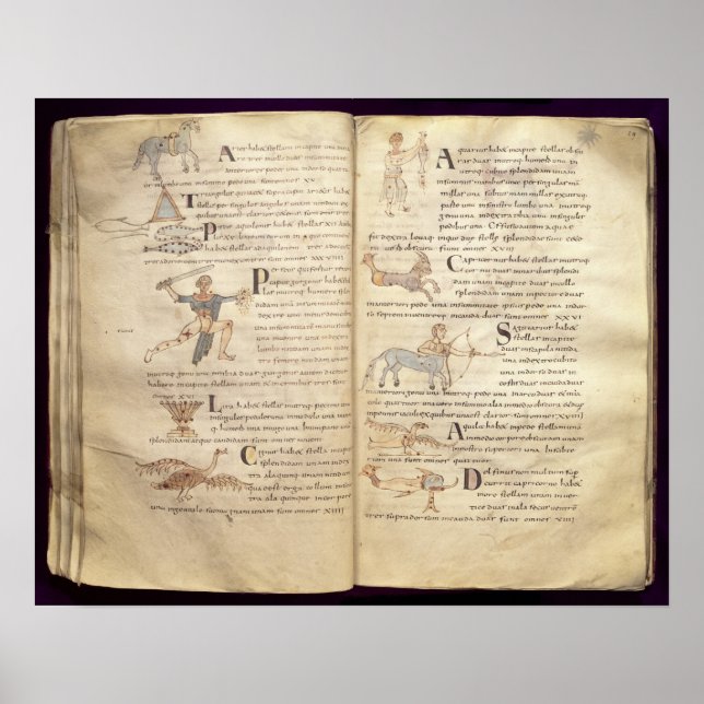 Affiche Chemin de la lune à travers les constellations (Devant)