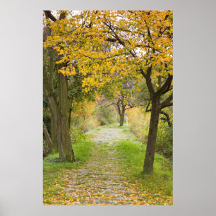 Affiche Chemin de l'automne
