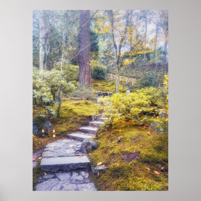 Affiche Chemin de pierre dans une forêt moussue d'automne (Devant)