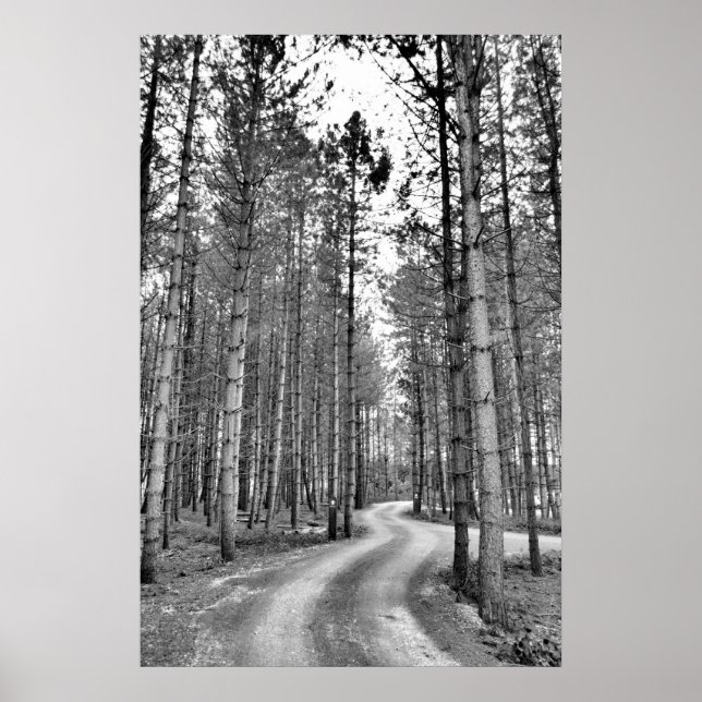 Affiche Chemin d'enroulement (Devant)