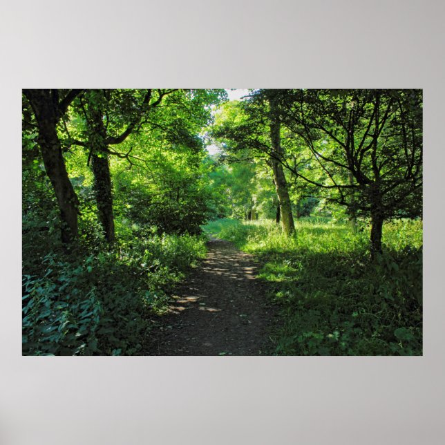 Affiche Chemin des bois. Blackweir Woods, Cardiff, Wales. (Devant)