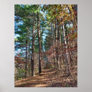 Affiche Chemin forestier
