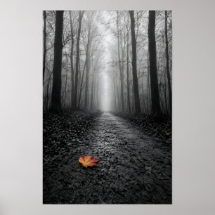 Affiche Chemin forestier brumeux en couleur sélective