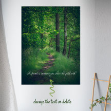 Chemin forestier ensoleillé