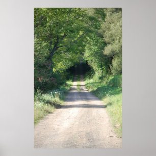 Affiche Chemin forestier ou chemin de terre dans le côté