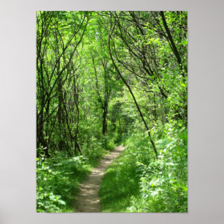 Affiche Chemin forestier vert