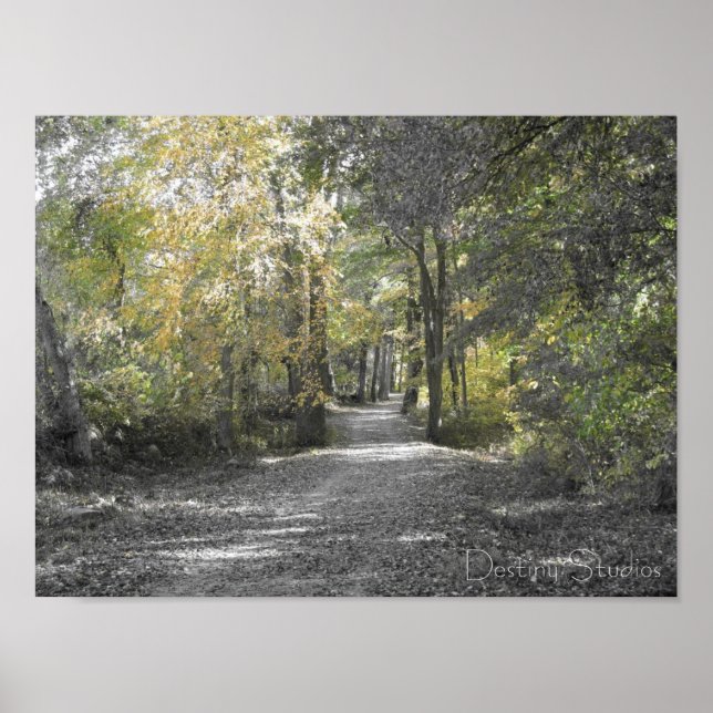 Affiche Chemin long (Devant)