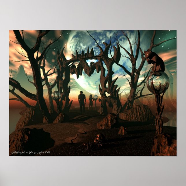 Affiche Chemin sombre vers la lumière (Devant)