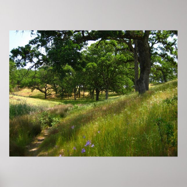 Affiche "Chemin vers le calme" (Devant)