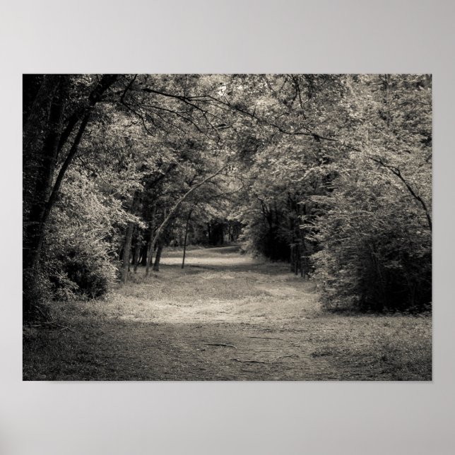 Affiche Chemin vers l'inconnu (Devant)