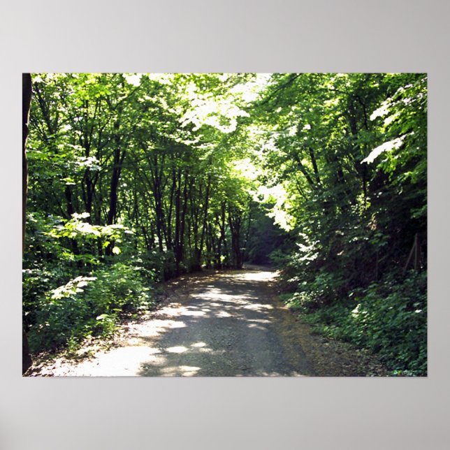 Affiche Chemin vers l'infini (Devant)