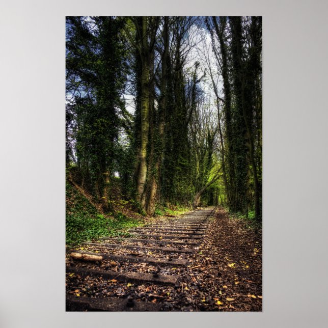 Affiche Chemins de fer abandonnés HDR (Devant)