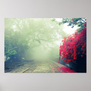 Affiche Chemins de fer Misty Photo Pittoresque