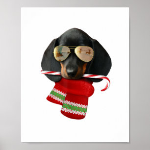 Affiche Chemise Dachshund mignon Noël Cadeau Amoureux de l