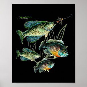Affiche Chemises et capuches de pêche Crappie Bluegill noi
