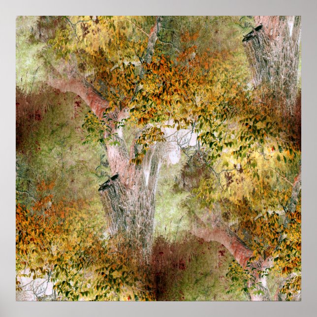 Affiche Chêne à l'automne... (Devant)