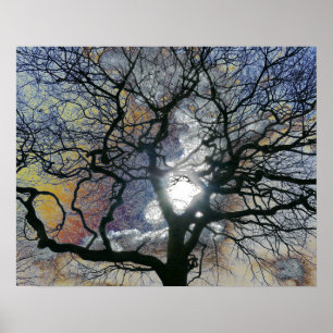 Affiche Chêne au début du printemps, ciel coloré modifier