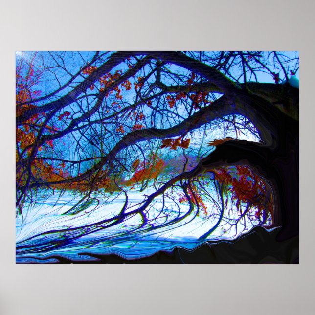 Affiche Chêne tordu (Devant)