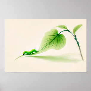 Affiche Chenille de papillon à l'encre chinoise sur Tilleu