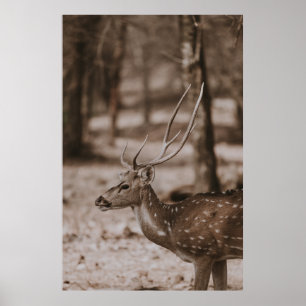 AFFICHE CHER AVEC DES ANTLERS