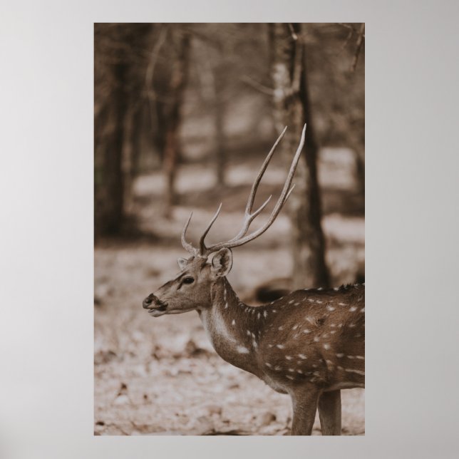 AFFICHE CHER AVEC DES ANTLERS (Devant)