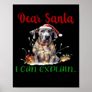 Affiche Cher Père Noël, je peux expliquer T-Shirt essentie