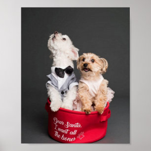 AFFICHE CHER PÈRE NOËL, JE VEUX TOUS LES OS