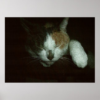 Affiche Chérie endormie sur un arbre à chat