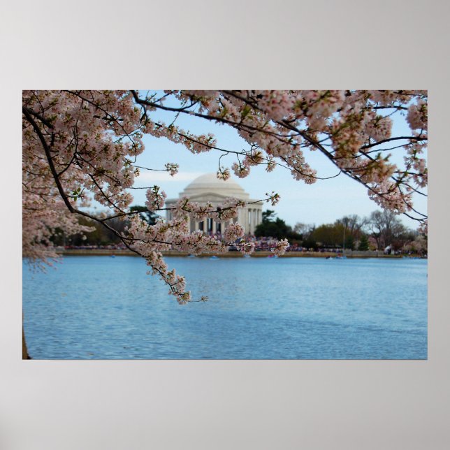 Affiche Cherry Blossom Festival & Jefferson Memorial (Devant)
