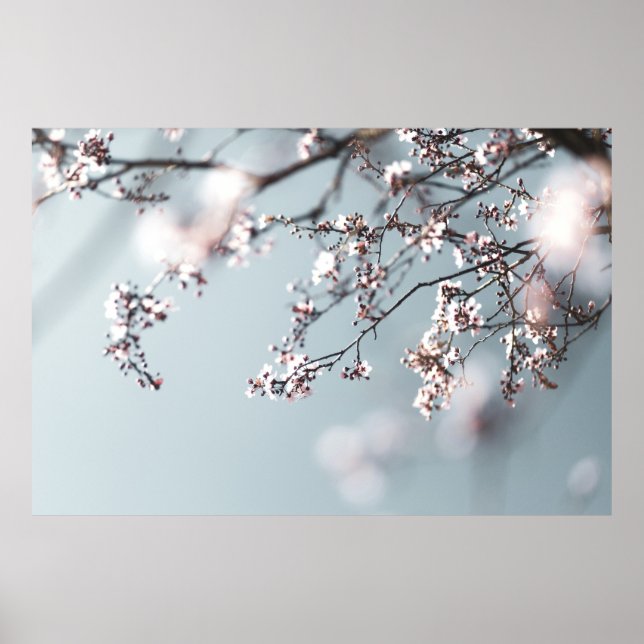 AFFICHE CHERRY ROSE BLOSSOM EN FERMETURE PHOTOGRAPHIE (Devant)