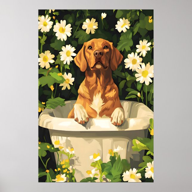 Affiche Chesapeake Bay Retriever In Bathtub Poster, Funny (Devant)