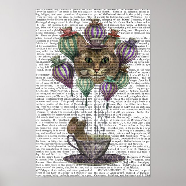 Affiche Cheshire Chat Hot Air Balloon (Devant)