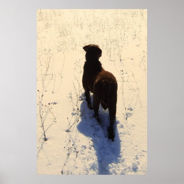 Affiche Chessie (Devant)