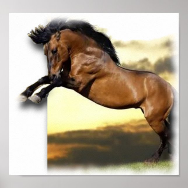 Affiche Cheval (Devant)