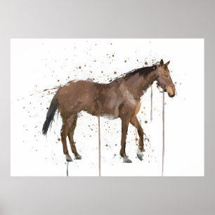 Affiche Cheval