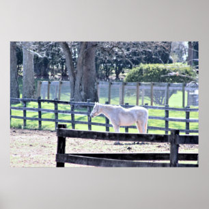 Affiche Cheval à l'affiche de la ferme