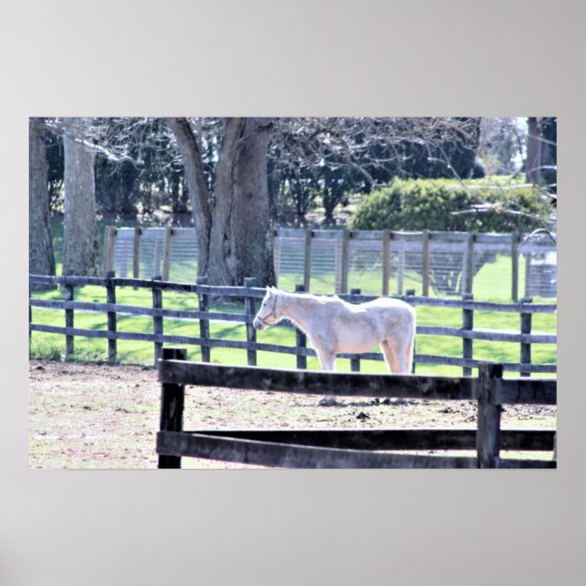 Affiche Cheval à l'affiche de la ferme (Devant)