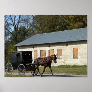 Affiche Cheval Amish