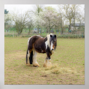 Affiche Cheval amour - mignon Tinker