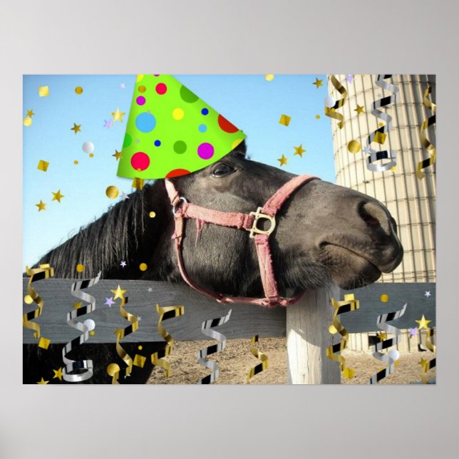 Affiche Cheval animal de fête (Devant)
