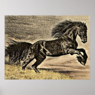 Affiche Cheval antique de l'étalon noir