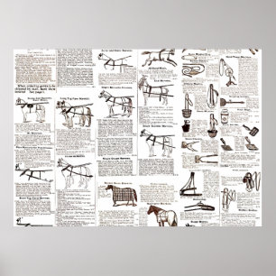 Affiche Cheval Antique Publicité Journal Art