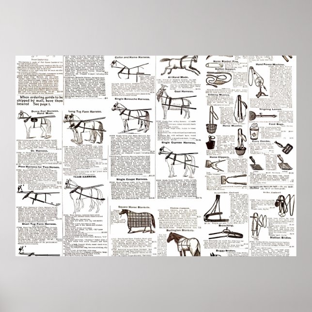 Affiche Cheval Antique Publicité Journal Art (Devant)