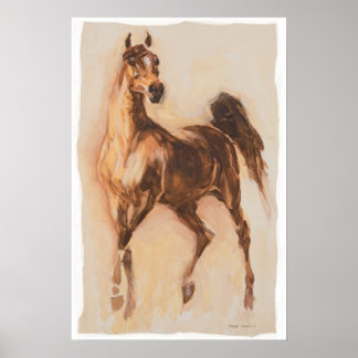 Affiche cheval arabe